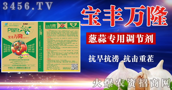 土壤改良剂研发新突破 减少养分流失、改善土壤结构——以北斗星与鑫宇绿叶为例